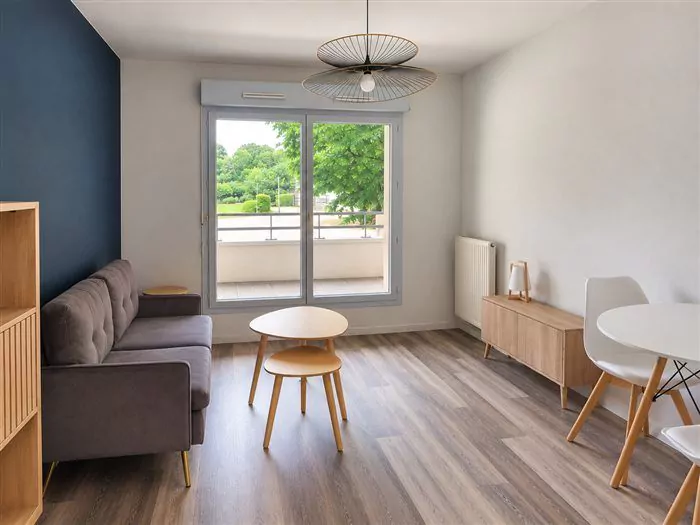 Salon scandinave du T2 de la rue des Voituriers d'Eau